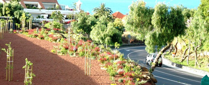 uso de arbustos en jardinería pública de Tenerife