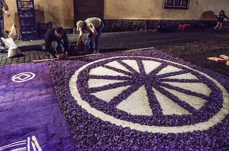Trabajadores de Interjardín elaborando la alfombra de flores del Ayuntamiento de San Cristóbal de La Laguna. Semana Santa 2016