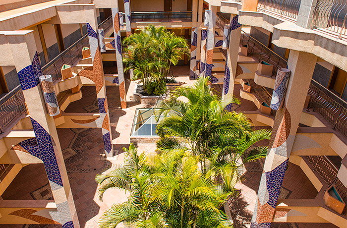 Palmeral del patio interior del Hotel Dunas Paraiso en Los Cristianos, Arona