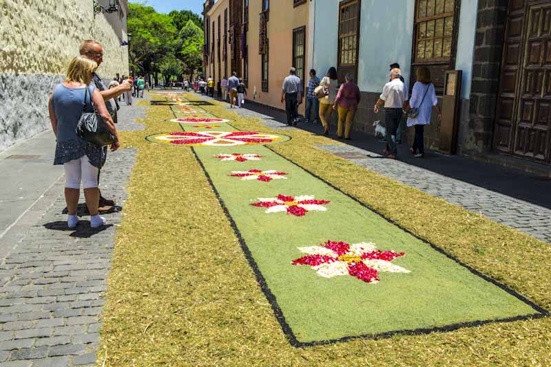 Alfombra de flores del Ayuntamiento de San Cristóbal de La Laguna. Semana Santa 2016