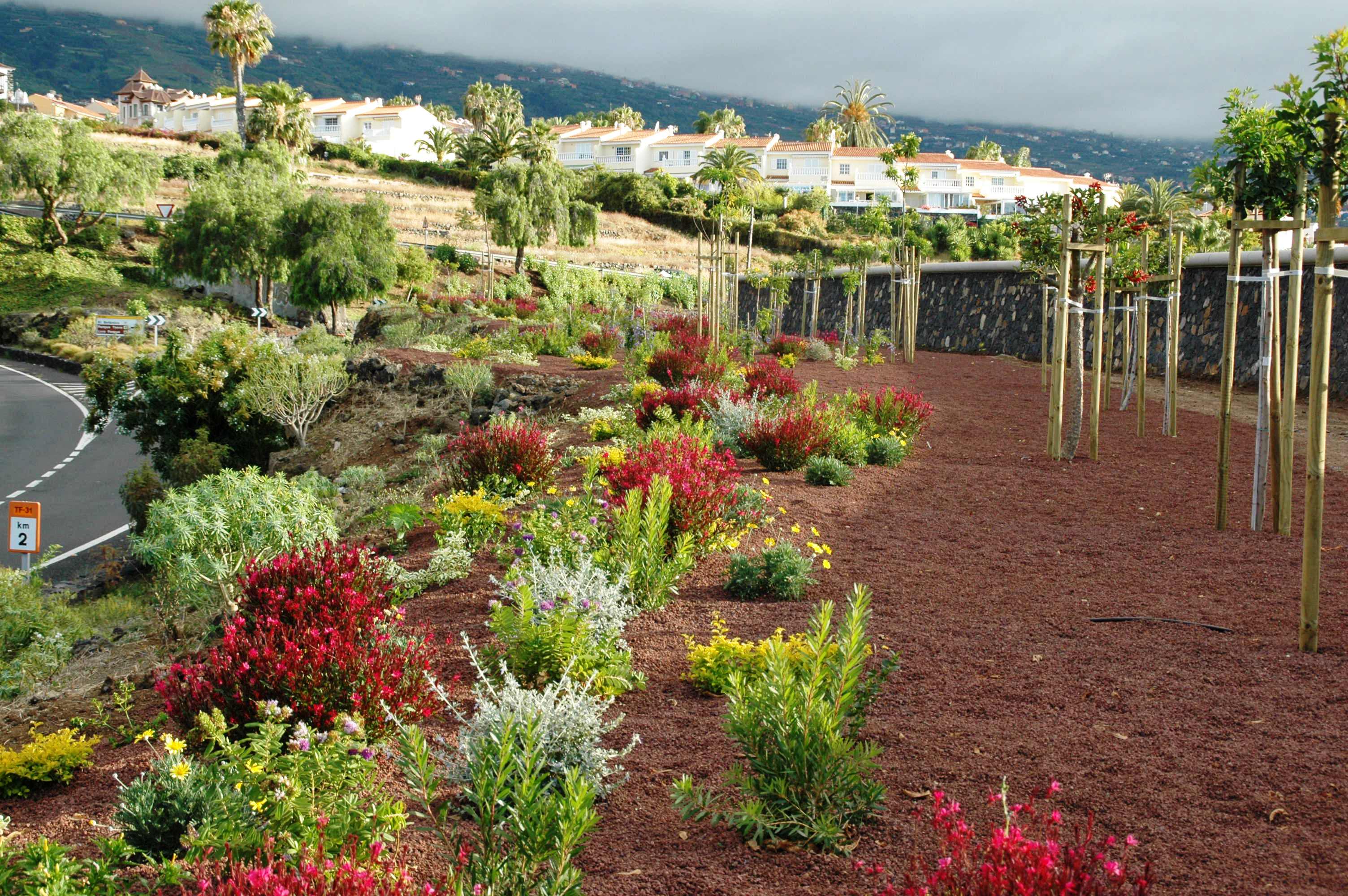 banda de arbustivas + arbolado. Jardinería pública Tenerife