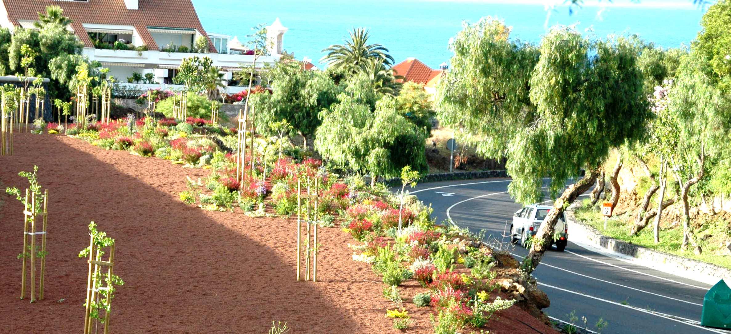 Jardinería pública. Enlace viario Jardín Botánico. Tenerife